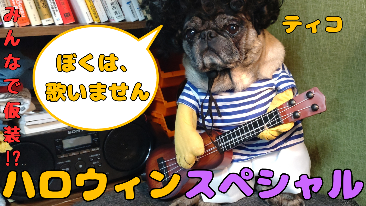 YouTube、始まっているよ。見てね